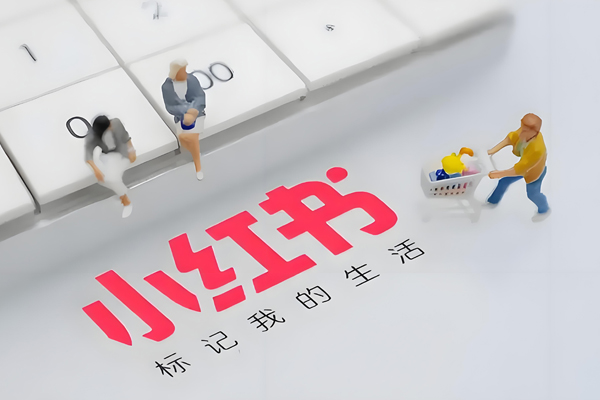 热门笔记加速器